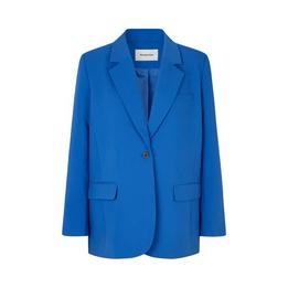 Overview image: Gale Blazer