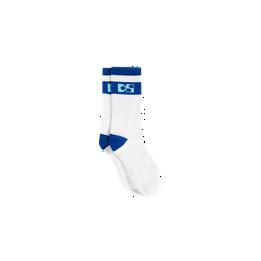 Overview image: DS Logo socks