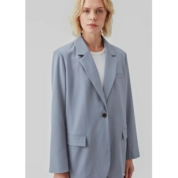 Overview image: Anker Blazer