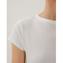 Overview second image: Kleoh detail top